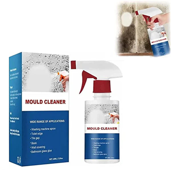 Anti-Moisissure: Éliminez la Moisissure en un Clin d’Œil!